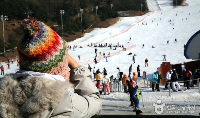 Ski-Resort Yangji Pine (양지파인리조트 스키장)
