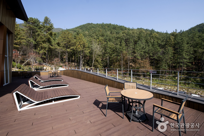 Erholungswald Baegunsan (백운산자연휴양림)