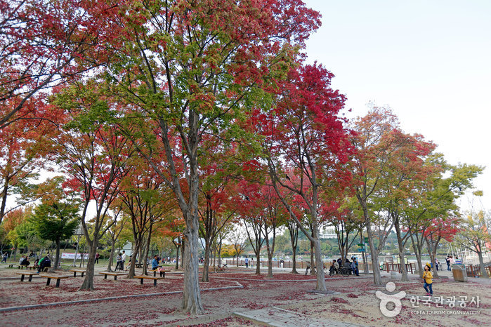 Deokjin-Park (덕진공원)