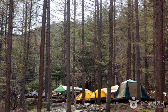 Erholungswald Cheongoksan (국립 청옥산자연휴양림)