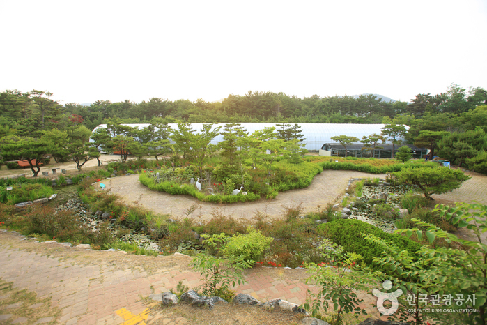 Botanischer Garten & Arboretum (울산테마식물수목원) Botanischer Garten & Arboretum (울산테마식물수목원)