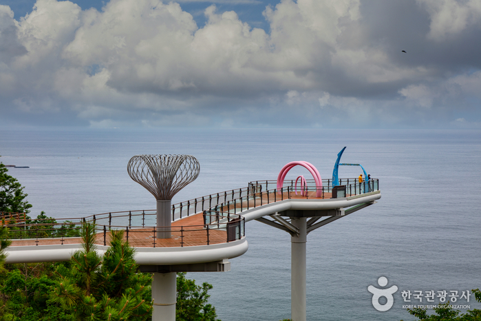 Dojjaebigol Sky Valley (도째비골스카이밸리) Dojjaebigol Sky Valley (도째비골스카이밸리)