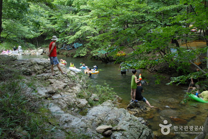Erholungwald Nami (남이자연휴양림)