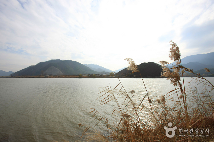 洛東江（낙동강）
