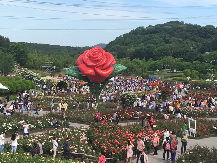 蔚山大公園バラ祭り（울산대공원 장미축제）