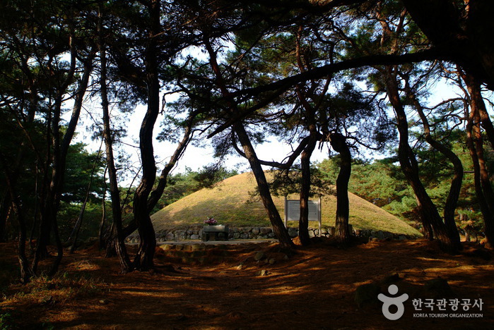 경주 선덕여왕릉