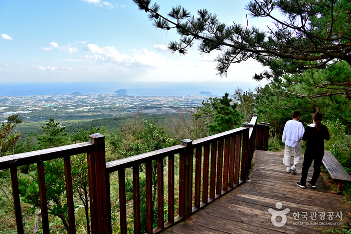 솔오름 (미악산) 솔오름 (미악산)