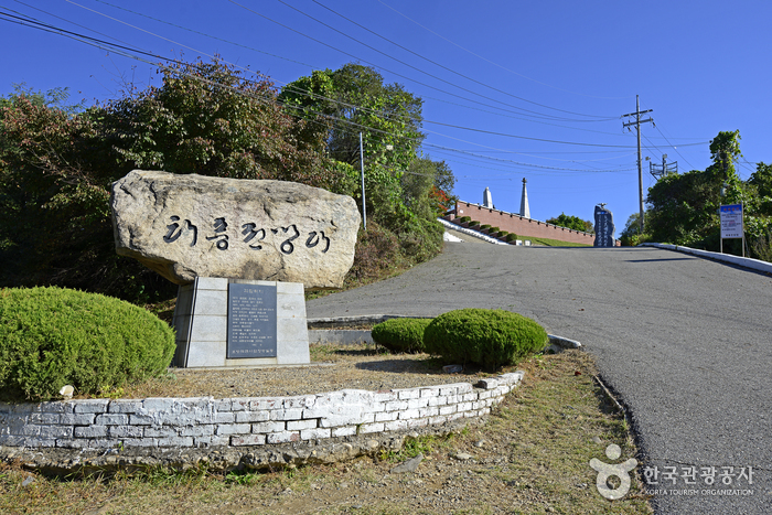 태풍전망대