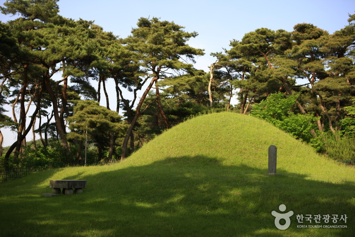 경주 지마왕릉 경주 지마왕릉