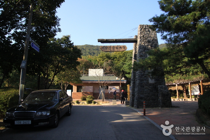 계양산 산림욕장