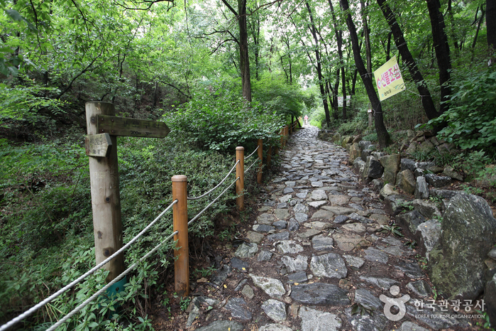 관악산 호수공원 관악산 호수공원