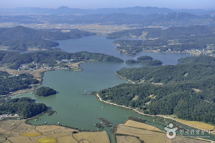 고삼호수 고삼호수