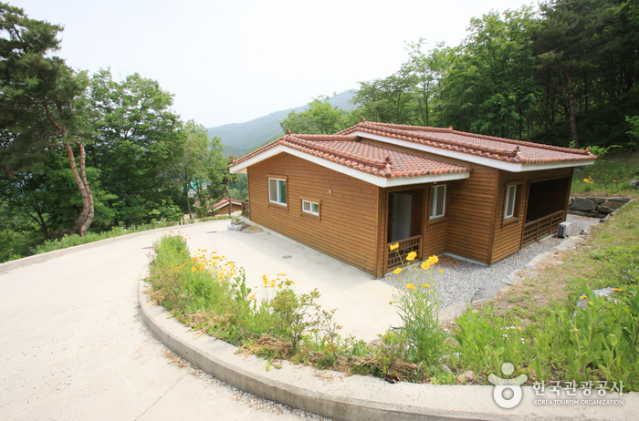 수레의산자연휴양림