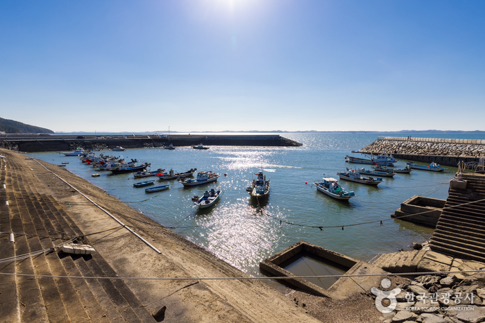 수룡항 포구 수룡항 포구