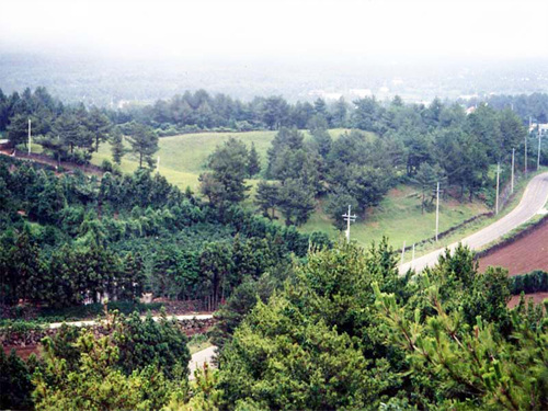 가메창(암메) 가메창(암메)