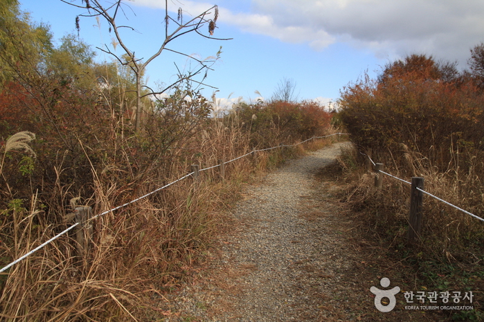 고덕동 생태경관 보전지역
