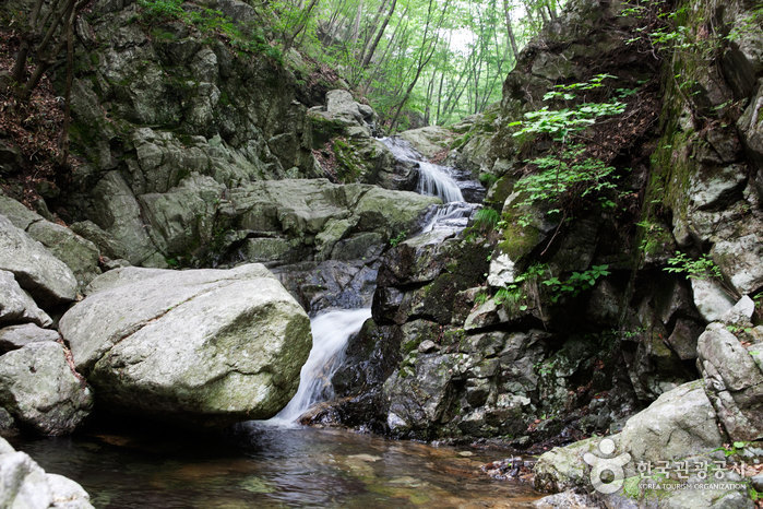 세렴폭포 세렴폭포