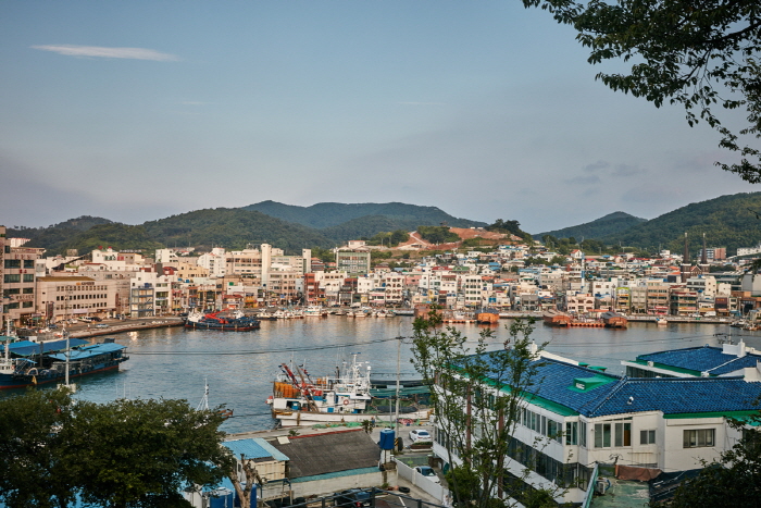 강구안 강구안