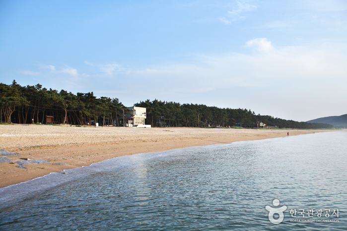 고사포해수욕장