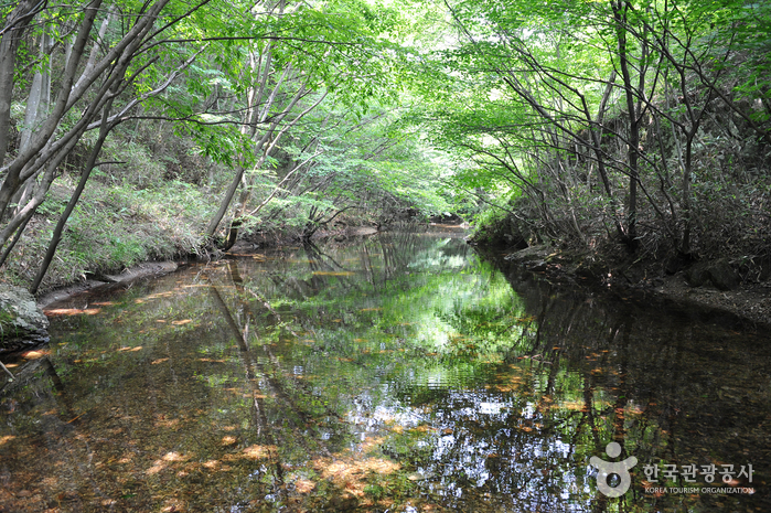 가마소계곡 가마소계곡