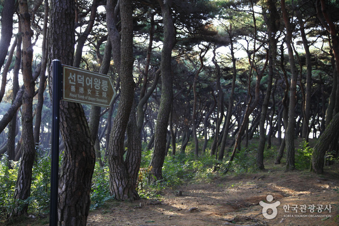 경주 낭산 일원