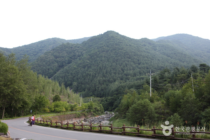 가리왕산 가리왕산