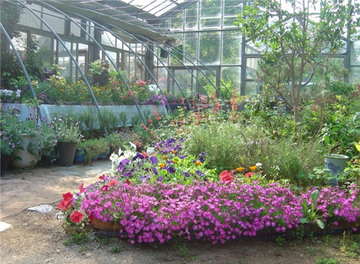 강천산휴양농원 강천산휴양농원