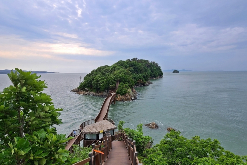 개미허리아치교