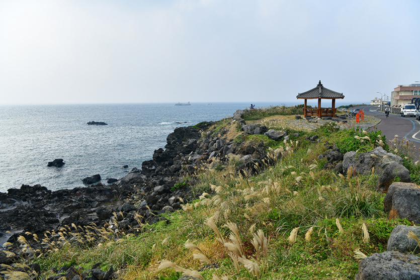 고산일과해안도로 (일과리해안도로)