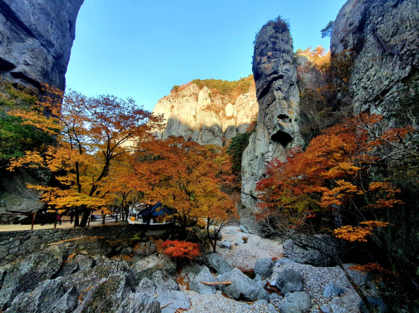 주왕산의 단풍