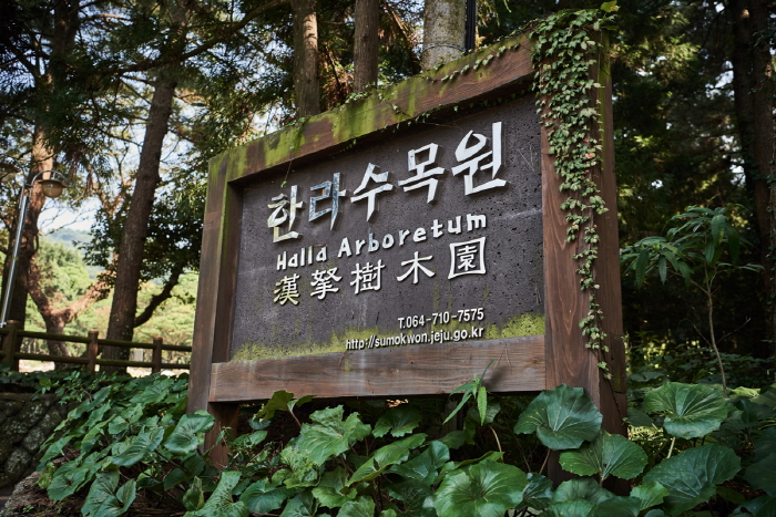 Дендрарий Халла (한라수목원)