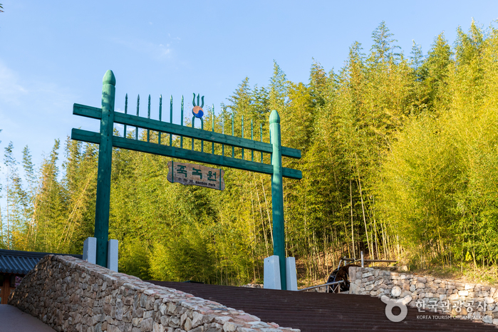 Бамбуковая роща Чунногвон (죽녹원)