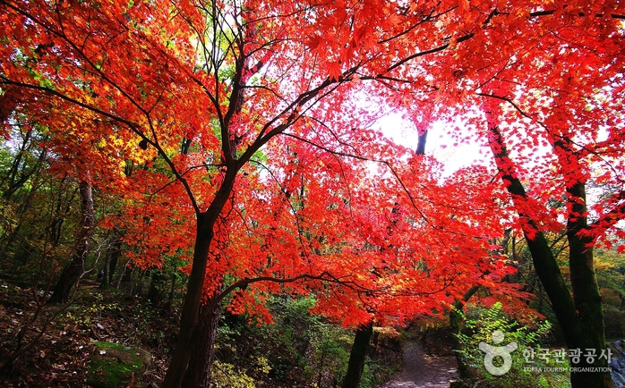 Гора Кванаксан (관악산) Гора Кванаксан (관악산)
