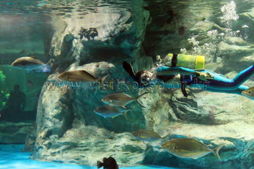 Аквариум Aquaplanet 63 (아쿠아플라넷 63)