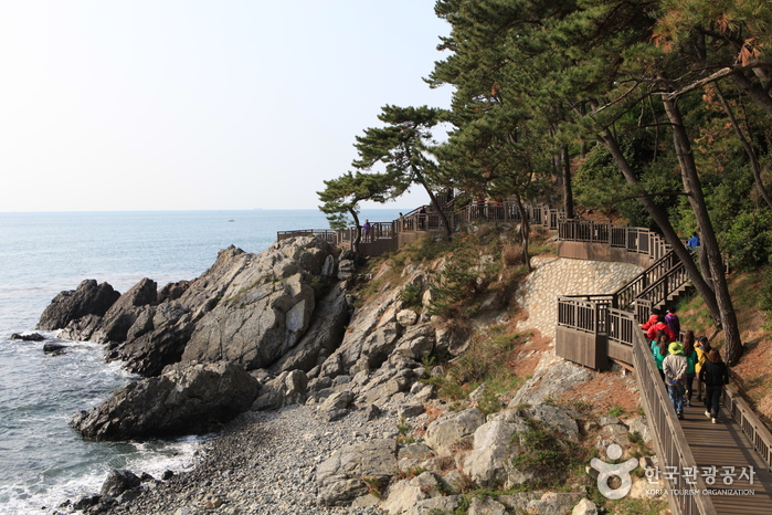 Isla Dongbaekseom de Haeundae (해운대 동백섬)